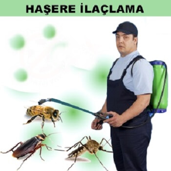 Kofçaz Böcek İlaçlama